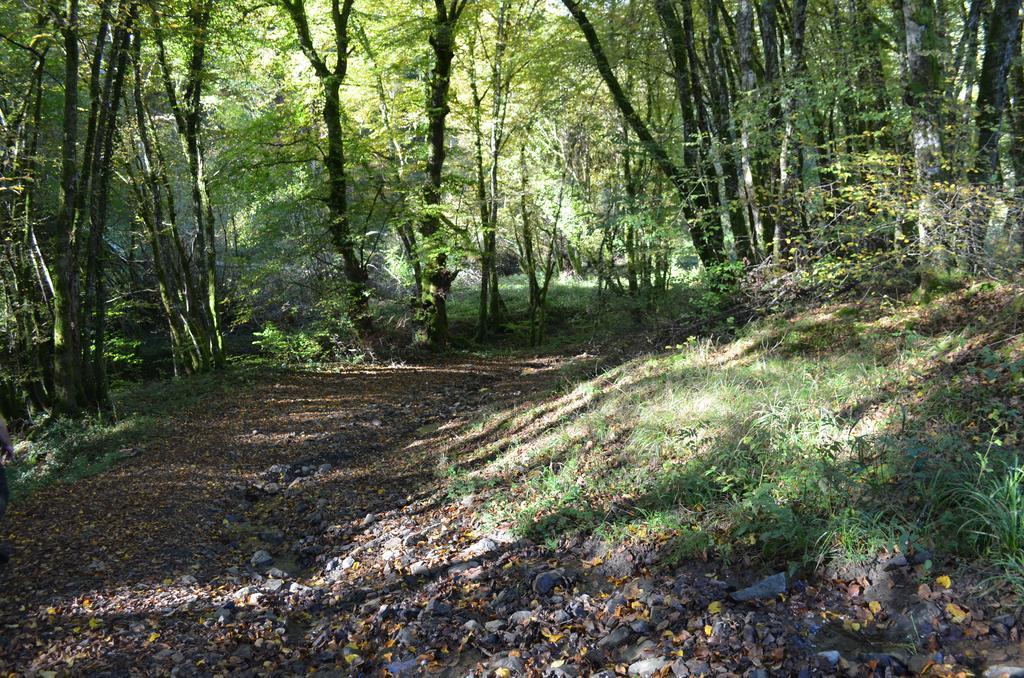 Ferrières-sur-Sichon Domaine Du Randierヴィラ エクステリア 写真
