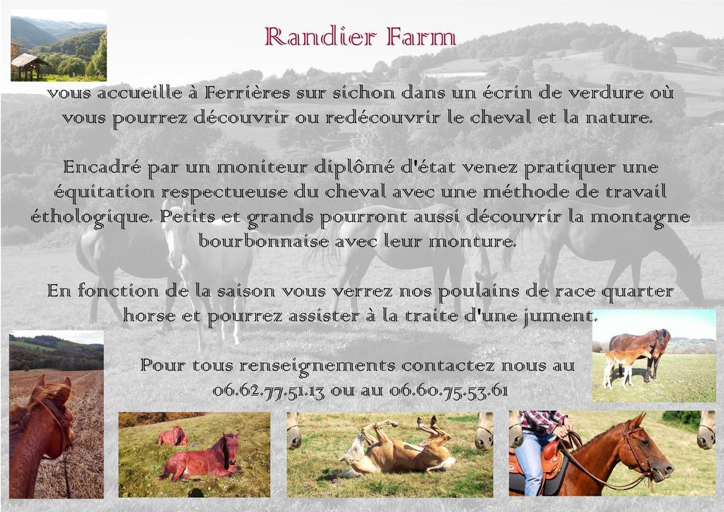Ferrières-sur-Sichon Domaine Du Randierヴィラ エクステリア 写真